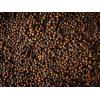Peugeot Kampot Red Peppercorns from Cambodia, 60g – 3 fresh sachets of 20g