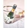 Peugeot Line Bottle Stopper For Sparking Wine, Light Grey(Carbone)