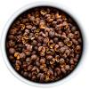 Peugeot Timut Nepalese Wild Pepper, 40g – 4 fresh sachets of 10g