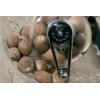 Peugeot 19501 Tidore Nutmeg Mill, Clear Acrylic